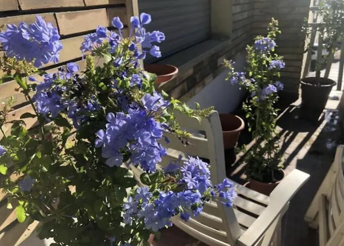 Affittacamere In Via Tolstoi